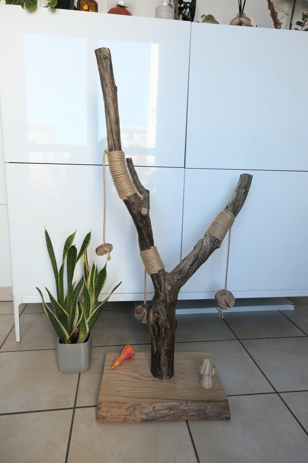 Griffoir bois massif