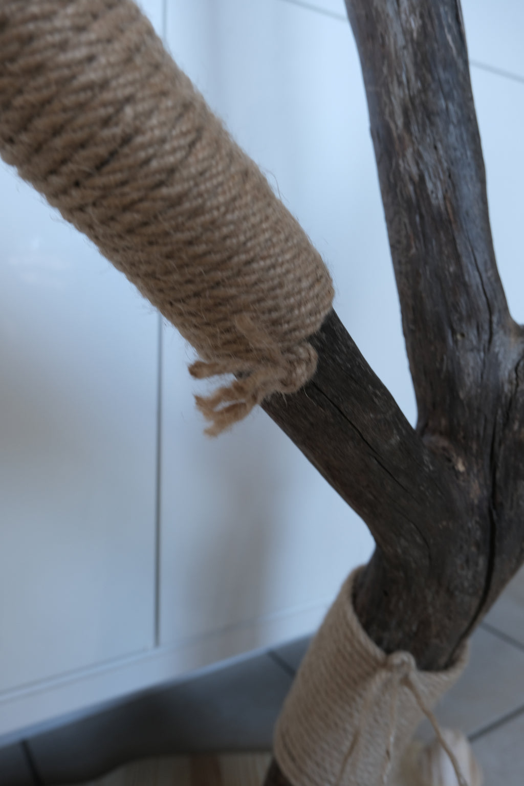 Griffoir lamellé collé